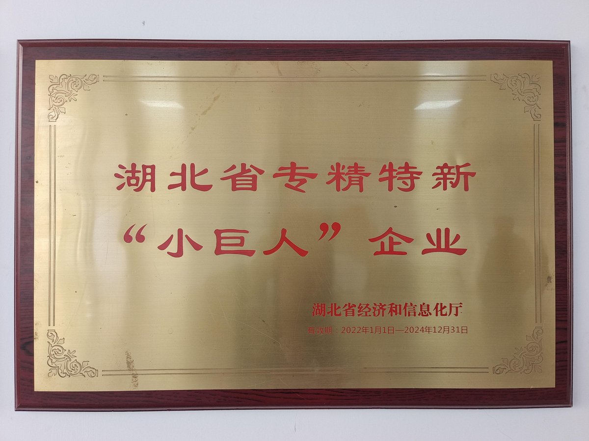 湖北省专精特新小巨人企业 2022